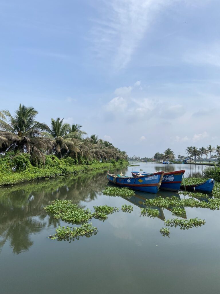 Street photography, Kochi